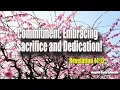 Commitment Embracing Sacrifice and Dedication Magnificent Life Daily Devotion