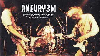 Download Nirvana Aneurysm Backing Track For Guitar With Vocals MP3