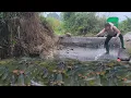 Lagu Discovering an old wild water puddle, unexpectedly there are many large fish living densely