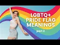 LGBTQ Pride Flag Meanings Part 2 LGBTQ TikTok Compilation