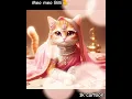 Download Lagu Billi boli meo meo #shorts #meow #cat #cartoon #meo