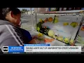 Yuba City consider new rules to address unpermitted street vendors