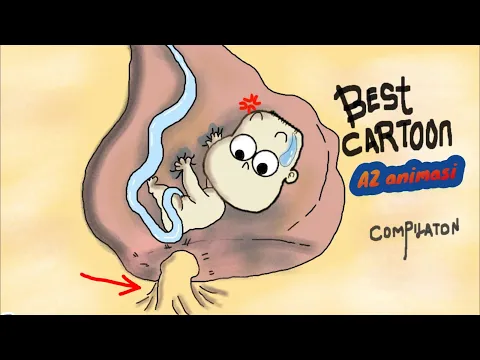 Download MP3 Best Cartoon AZ animation | Funny Cartoon Compilation | 8 Funny Videos | Funny Cartoon Comedy Video