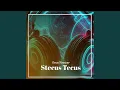 Download Lagu Stecus Tecus