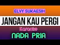 Download Lagu Karaoke JANGAN KAU PERGI NADA PRIA  [ Elvy Sukaesih ]