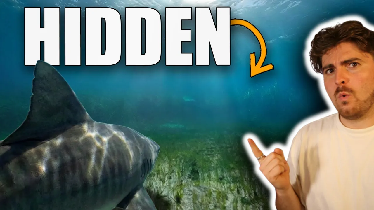 Tiger Sharks Filmed Something So Big That NOBODY Noticed It