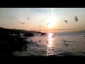 Fairuz-Ahwak-Zeid Hamdan&Hiba El Mansouri