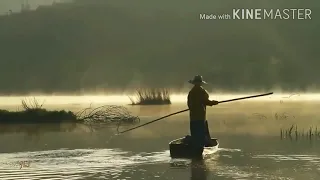 beauty of the world nature whatsapp status 2020