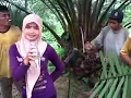 Rita Sugiarto -Jangan Rayu-Rayu- Parodi Kebun Sawit