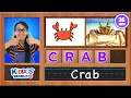 Learn How to Spell Spelling Basic Words Teaching Reading and Spelling to Kids