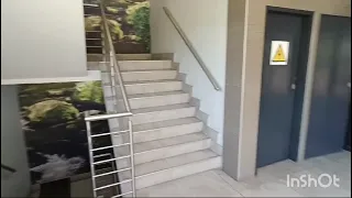                     دندنها