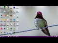 How to customize List View with image in java Cell Render