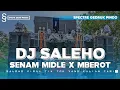 Download Lagu DJ SALEHO PARTY X MBEROT || SALEHO X SPECTRE GEDRUK PINDO DJ KARNAVAL 2024