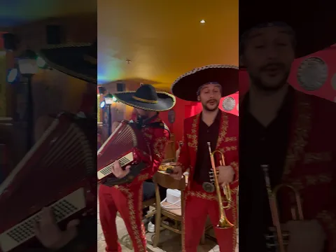 VIVA A VIDA É UMA FESTA
