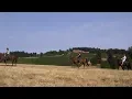 This is Yamhill County Oregon