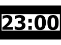 23 Minute Countdown Timer with Alarm