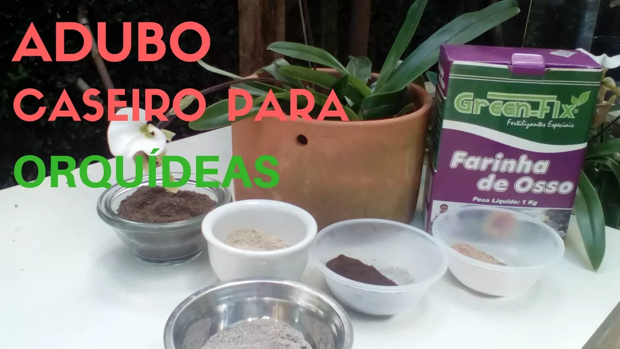 ADUBO CASEIRO PARA ORQUÍDEAS