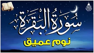 سورة البقرة طاردة الشياطين   قران كريم بصوت جميل ومريح جدا   تلاوة هادئة للنوم والراحة النفسية  دندنها