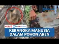 Download Lagu 🔴 LIVE: Geger Temuan Kerangka Manusia Dalam Pohon Aren yang Tumbang Kena Puting Beliung di Sumut