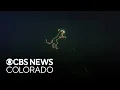 Laser show at Jeffco Stadium in Lakewood highlights movement to boost philanthropy in Colorado