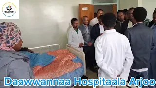hospitaala arjoo 