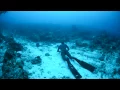 Download Lagu PADI FREEDIVING ( Music: vengeance Zack Hemzey )