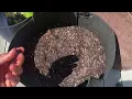 Potting Soil That Lasts Espoma Organic Potting Mix Review