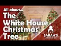 Sarah s Wiki Corner Podcast 24 - White House Christmas Tree