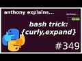 bash shortcut curly expansion intermediate anthony explains