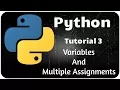 Python Programming Tutorial 3 - Variables and multiple assignments