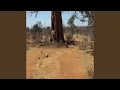 Download Lagu LIMPOPO IS A COUNTRY