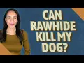 Can Rawhide kill my dog