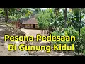 Download Lagu Suasana Pedesaan Yang Asri Dan Bikin Betah Di Purwosari Gunung Kidul