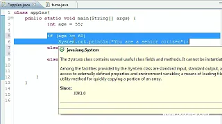 Java Programming Tutorial 19 else if Statement