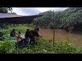 Download Lagu Camp fishing kembali ke sepot gacor bawa keluarga,dapat ikan cukup banyak.