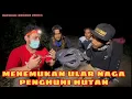 Download Lagu Panji petualang akhirnya menemukan ular naga penghuni gunung sunda