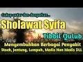 Download Lagu Sholawat Syifa, Sholawat Tibbil Qulub, Sholawat Penyembuh Sakit Lahir \u0026 Batin