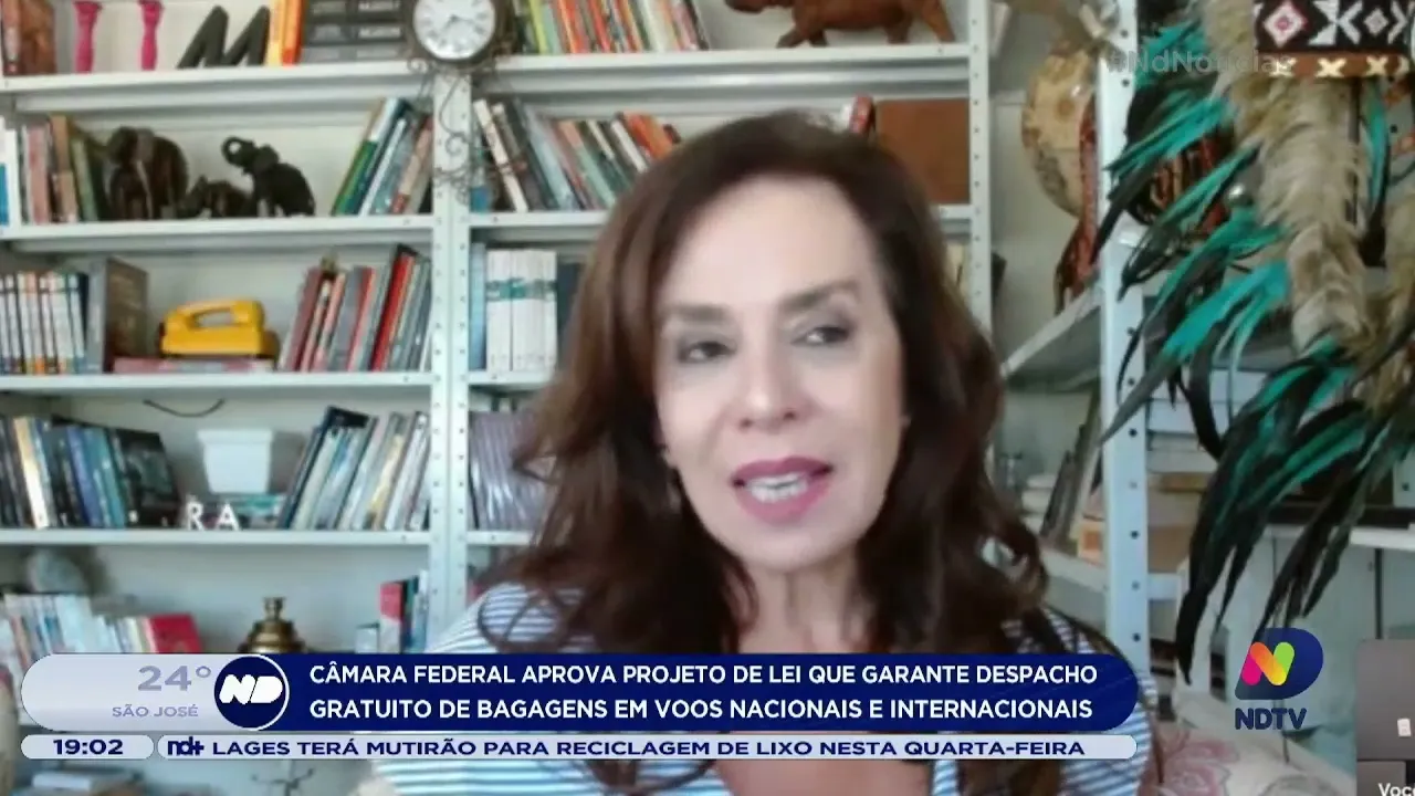 Senado deve analisar PL que garante despacho gratuito de bagagens