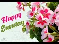 Happy Sunday Greetings - Happy Sunday Wishes