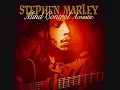 Stephen & Damian Marley - The Mission (Acoustic Version)