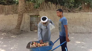 اضحك مع اغرب بائع رمان ممكن تشوفه في حياتك 