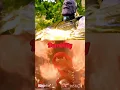 Download Lagu Knuckles (Sonic The Hedgehog Movie 2) VS Thanos (MCU)
