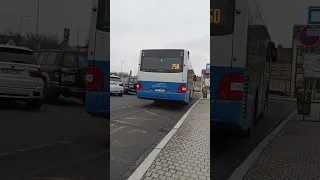       دندنها