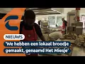 Download Lagu Bakkerij Van Eigen Deeg organiseert Open Dag tijdens 10-jarig bestaan | Connect