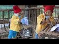 Download Lagu Ly Tieu Binh practices using a tractor to plow the fields @Tieucalife28