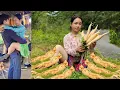 Download Lagu How to Harvest Ginseng - Cooking with Ginseng - Live With Nature | Hoang Thi Mai