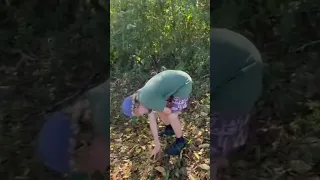 Pecans and wet weather! #boatlife #family #shorts