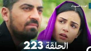 الوردة السوداء الحلقة 223  الوردة السوداء الحلقة 223