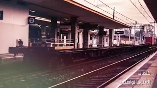 شيلة كيف حالك من بعد سبعه يناير دندنها