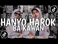 Download Lagu DJ MINANG TERBARU || DENAI HANYO HAROK BAKAWAN || TERBARU VIRAL TIKTOK🔥